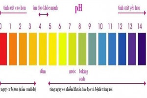 Độ pH của âm đạo